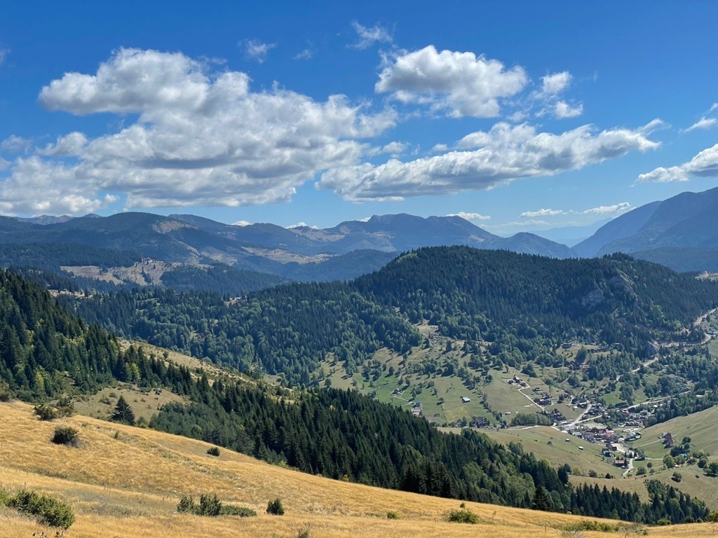 Rugove6